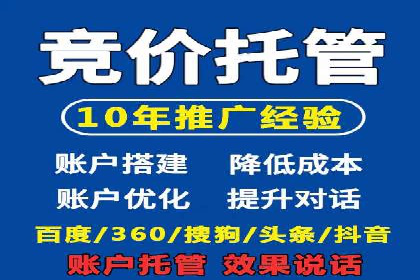 某电商平台的SEM广告投放全流程解析
